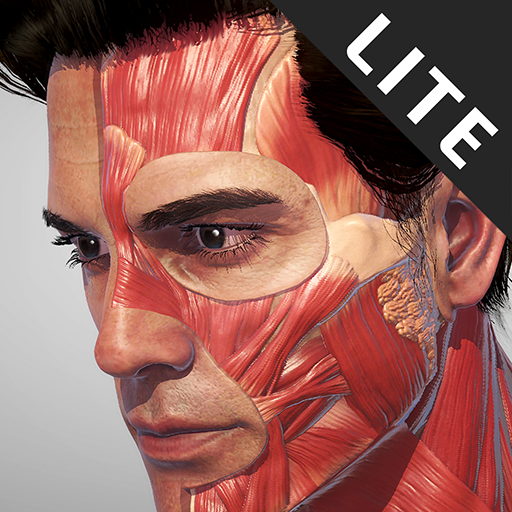 Action Anatomy Lite Mod apk