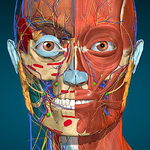 Anatomy Learning 3D Anatomy Mod APK